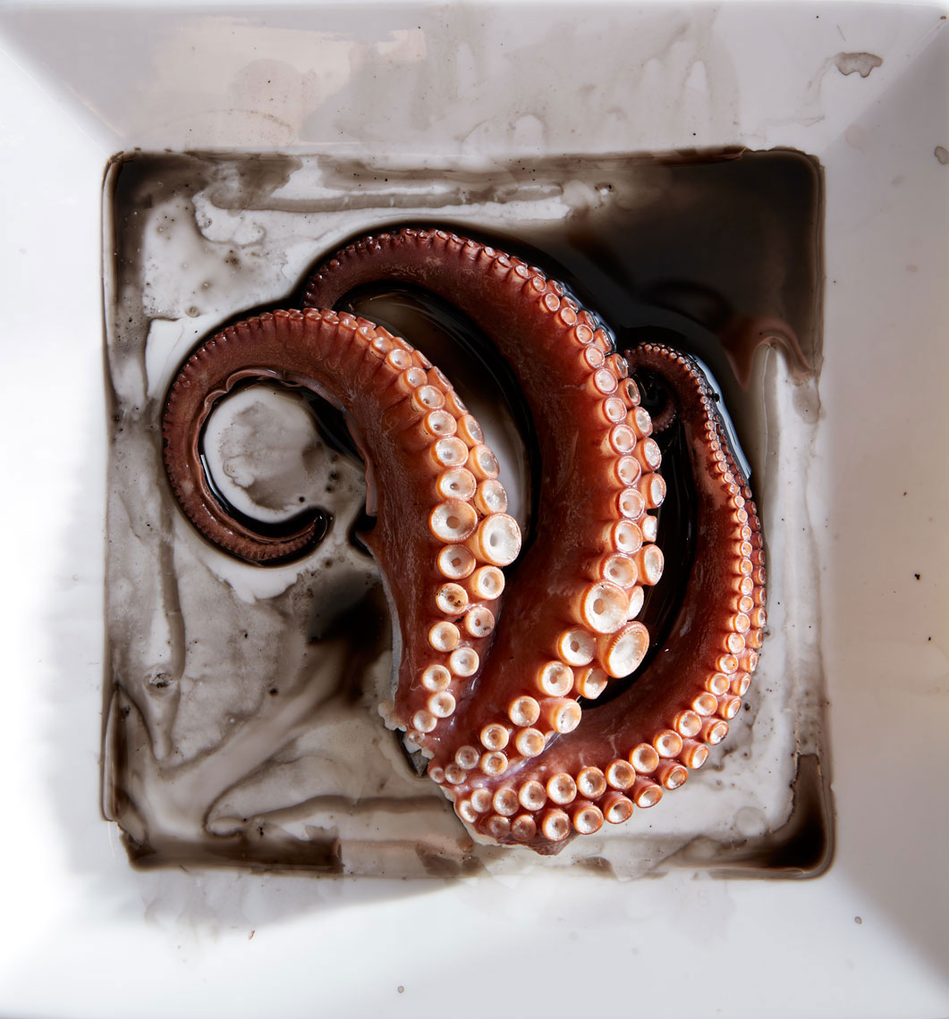 Food Photography in Dallas Texas Octopus 