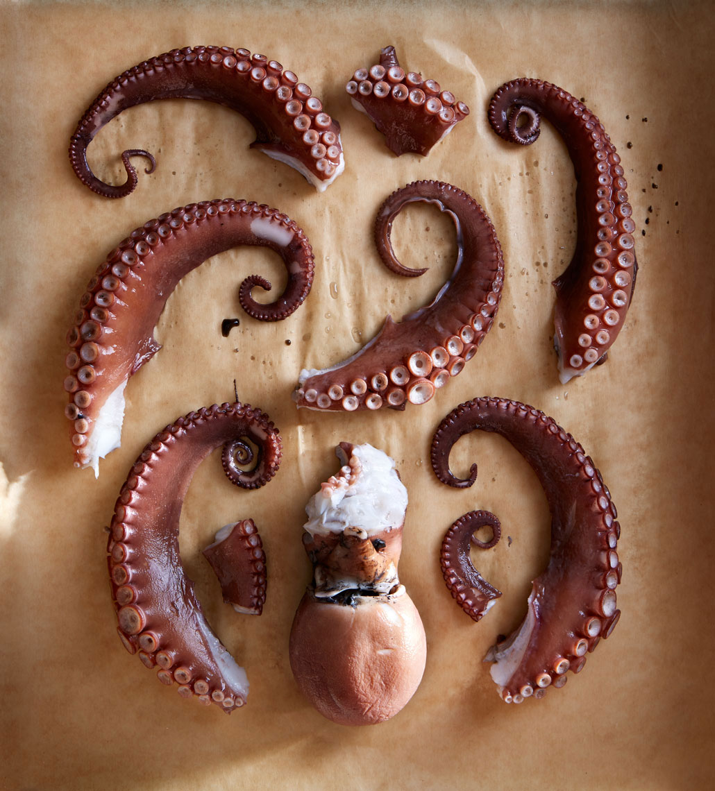 Food Photography in Dallas Texas octopus